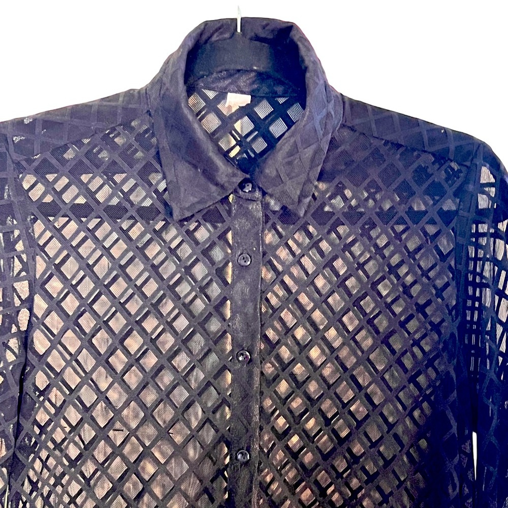 American Apparel Long sleeve sheer shirt. Stretch fabric medium button up
